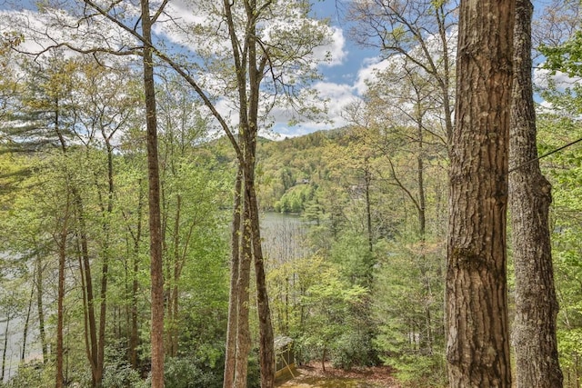 view of woods