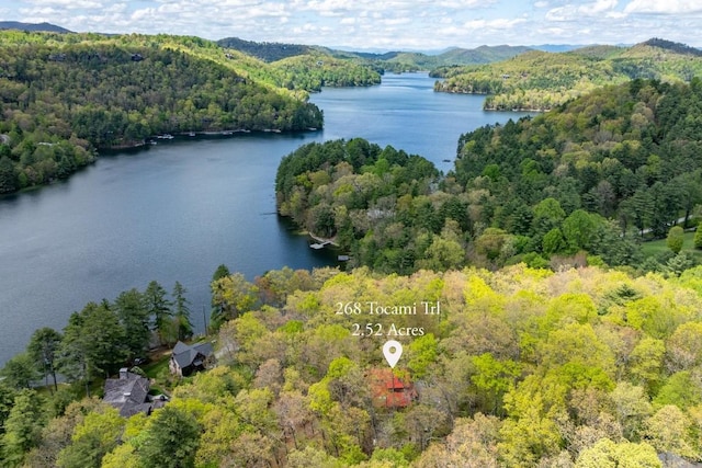aerial view of a water and mountain view and a heavily wooded area