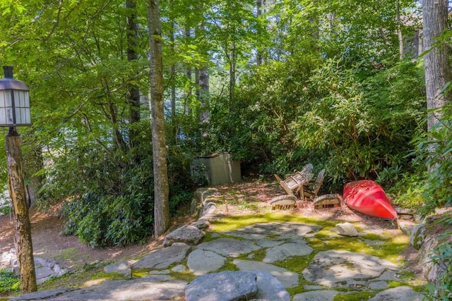 268 Tocami Trl, Cullowhee, NC 28723 - view of yard