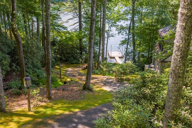 268 Tocami Trl, Cullowhee, NC 28723 - view of yard