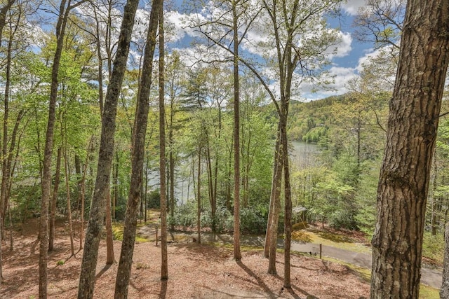 view of woods