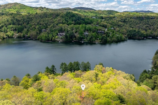 aerial view of a heavily wooded area and a water and mountain view
