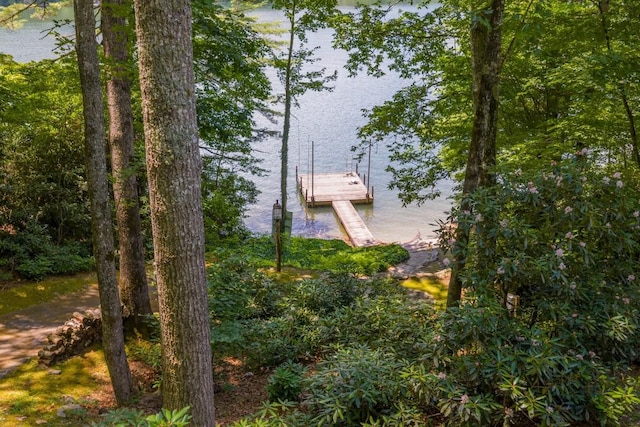 268 Tocami Trl, Cullowhee, NC 28723 - dock with a water view