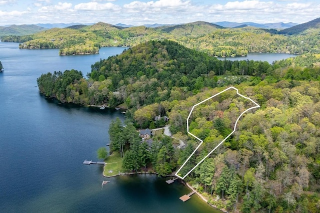 view of property location featuring a forest, a water and mountain view, and property boundaries highlighted