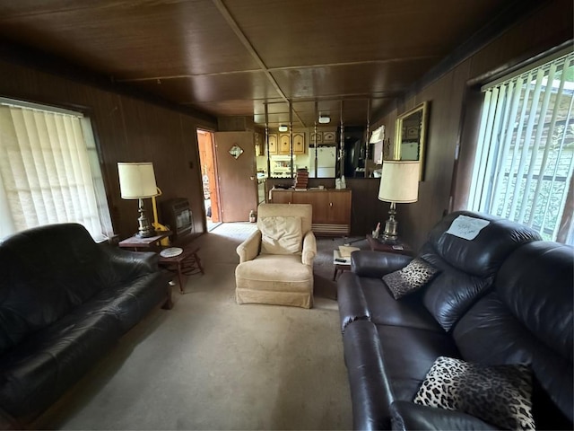 48 Upsy Daisy Ln, Cullowhee, NC 28723 - photo 10