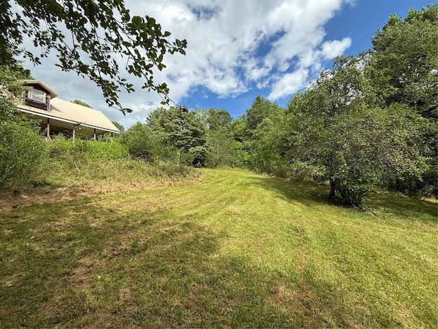48 Upsy Daisy Ln, Cullowhee, NC 28723 - photo 6