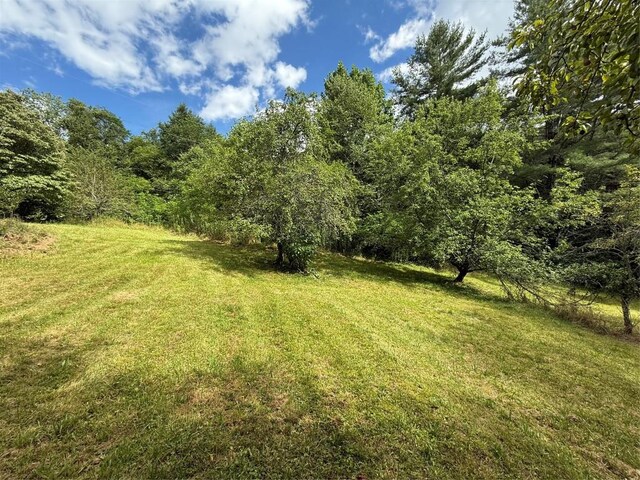 48 Upsy Daisy Ln, Cullowhee, NC 28723 - photo 1