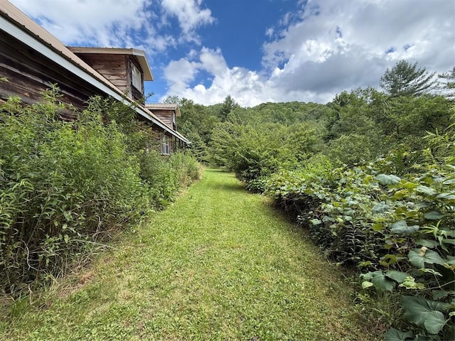 48 Upsy Daisy Ln, Cullowhee, NC 28723 - photo 4