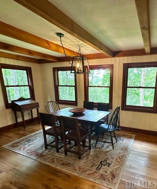 dining room with a healthy amount of sunlight, wood-type flooring, beam ceiling, and a chandelier