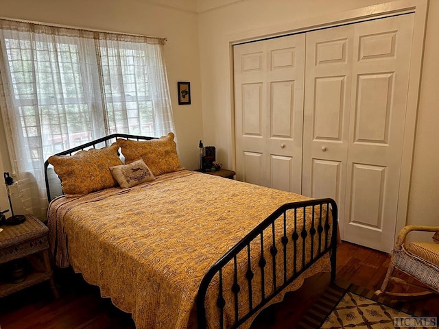 bedroom featuring dark wood-type flooring, multiple windows, and a closet