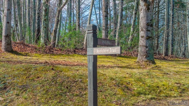 Listing photo 3 for LOT246 Audubon Trl, Cashiers NC 28717