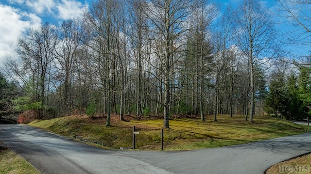 Listing photo 2 for LOT246 Audubon Trl, Cashiers NC 28717