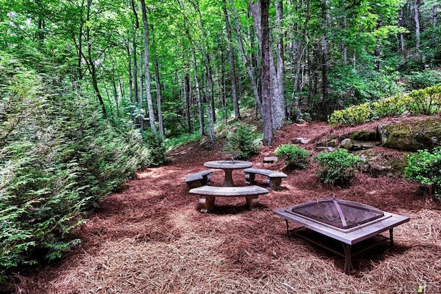 view of yard with a fire pit