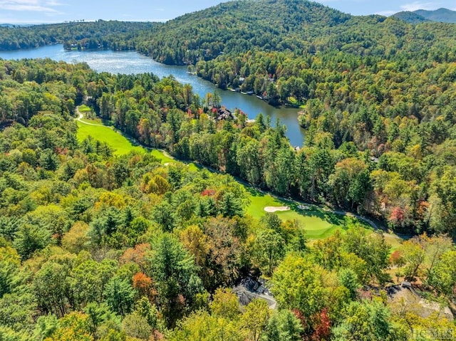 aerial view featuring a water and mountain view