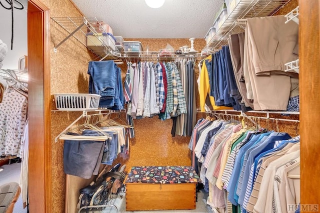 walk in closet with carpet flooring