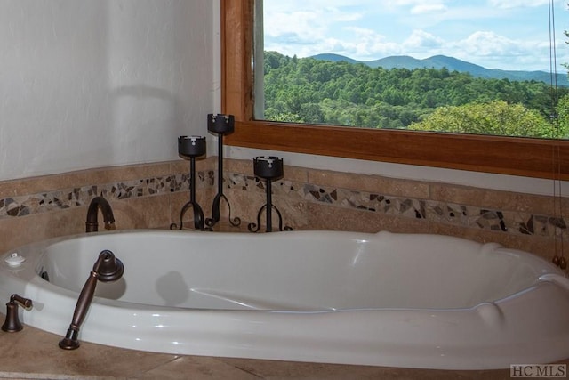 interior details featuring a mountain view and sink