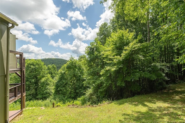 132 N Robinson Creek Rd, Glenville, NC 28736 - photo 66