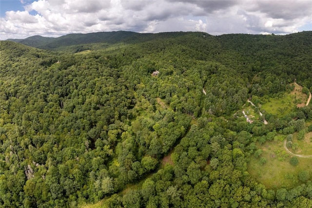 132 N Robinson Creek Rd, Glenville, NC 28736 - photo 78