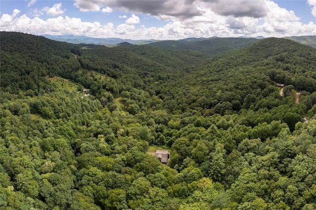 132 N Robinson Creek Rd, Glenville, NC 28736 - photo 75