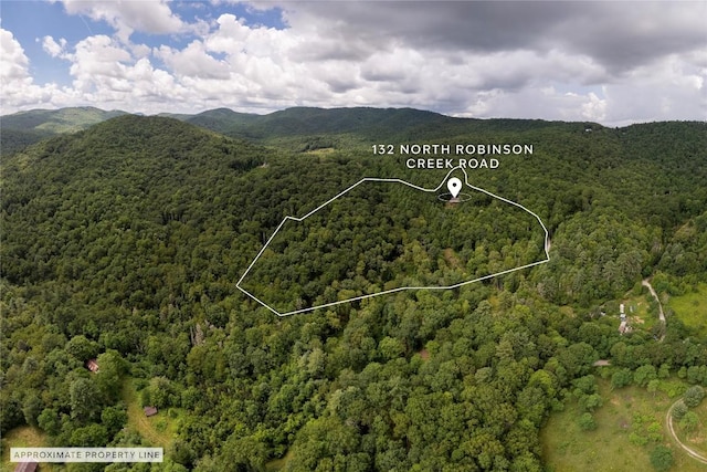 132 N Robinson Creek Rd, Glenville, NC 28736 - photo 76