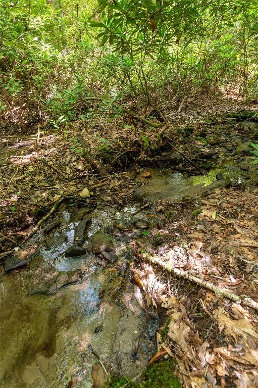 132 N Robinson Creek Rd, Glenville, NC 28736 - photo 68