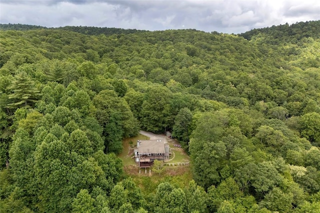 132 N Robinson Creek Rd, Glenville, NC 28736 - photo 73
