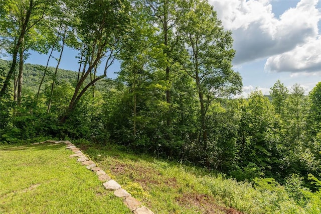 132 N Robinson Creek Rd, Glenville, NC 28736 - photo 61