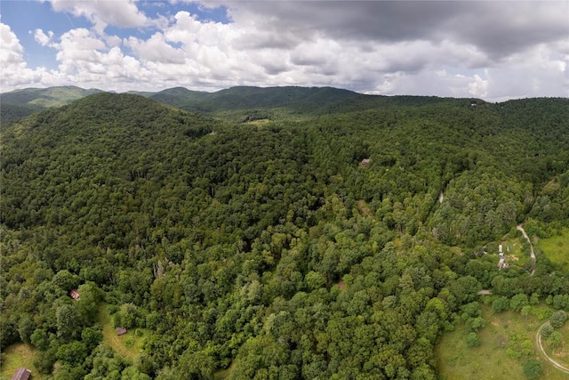 132 N Robinson Creek Rd, Glenville, NC 28736 - photo 77