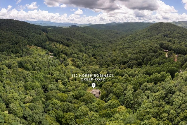 132 N Robinson Creek Rd, Glenville, NC 28736 - photo 74