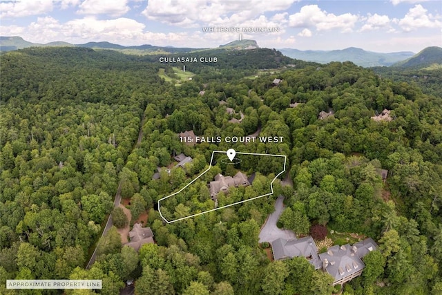 115 Falls Ct W, Highlands, NC 28741 - aerial overview of property's location featuring a forest and property boundaries highlighted