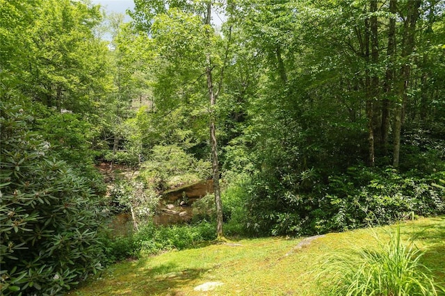 115 Falls Ct W, Highlands, NC 28741 - view of yard with a view of trees