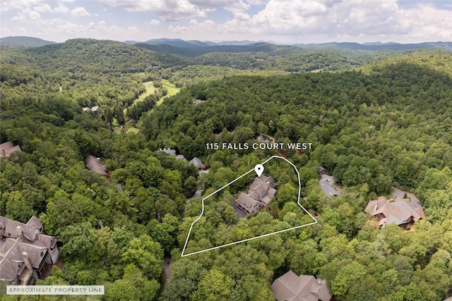 115 Falls Ct W, Highlands, NC 28741 - aerial view of property's location featuring property parcel outlined and mountains
