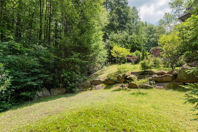 115 Falls Ct W, Highlands, NC 28741 - view of grassy yard