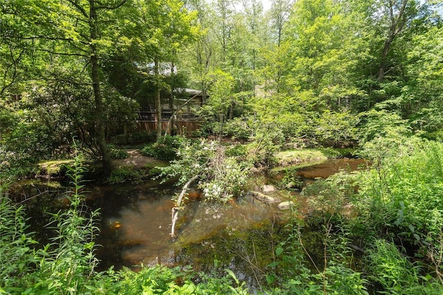 115 Falls Ct W, Highlands, NC 28741 - view of wooded area