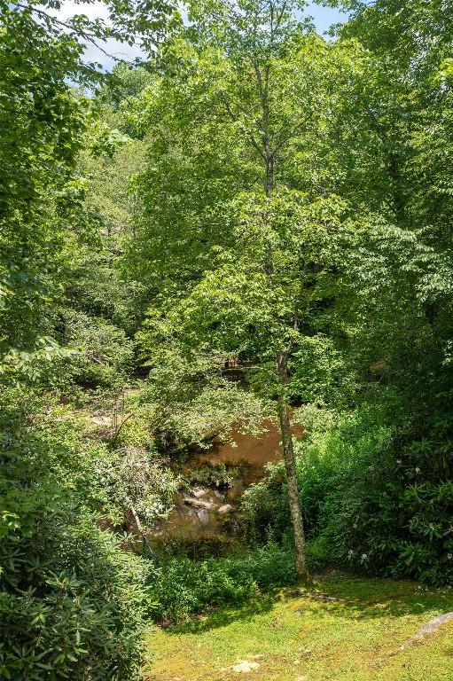 115 Falls Ct W, Highlands, NC 28741 - view of tree filled area
