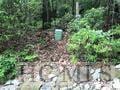 Listing photo 3 for LOT8 Rock Creek Ct, Sapphire NC 28774