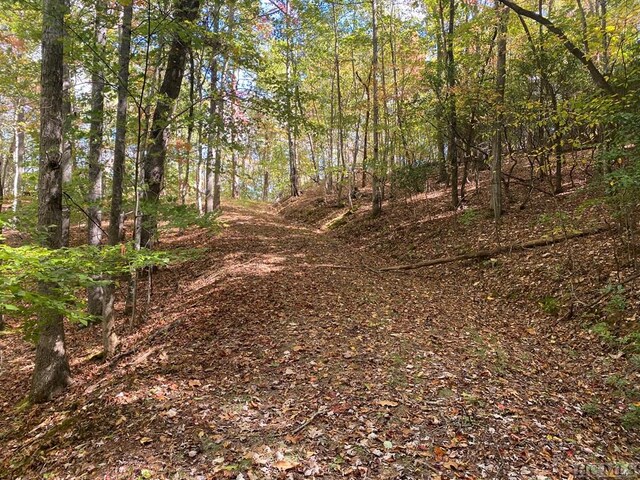 Listing photo 3 for TBD Potts Branch Rd, Franklin NC 28734