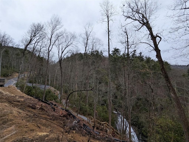 view of local wilderness with a forest view