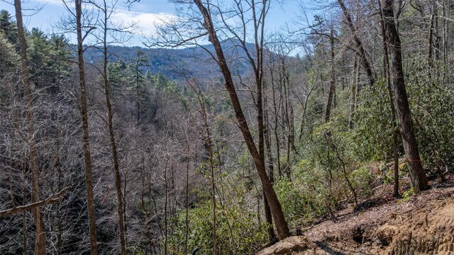 bird's eye view featuring a forest view