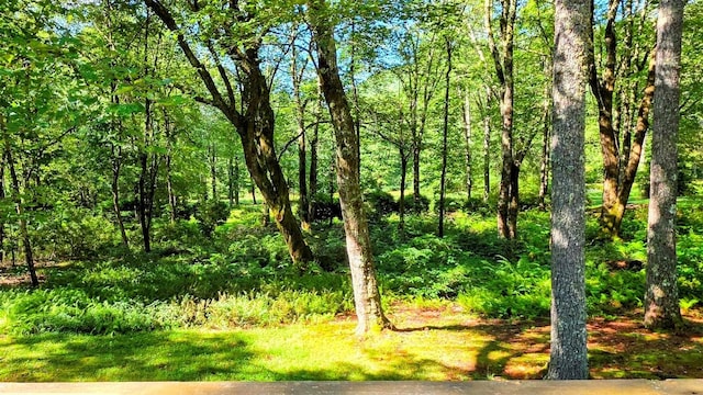 158 River Run Unit 1852, Sapphire, NC 28774 - photo 11