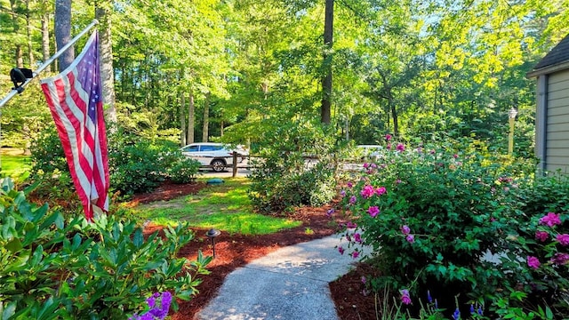 158 River Run Unit 1852, Sapphire, NC 28774 - photo 14