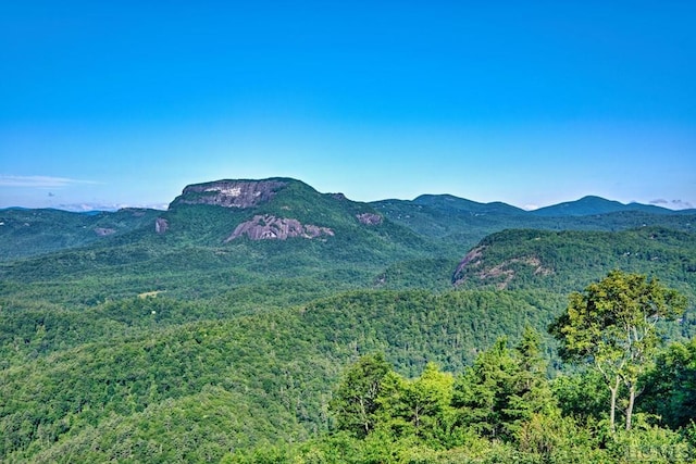 view of mountain feature