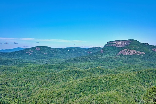 view of mountain feature