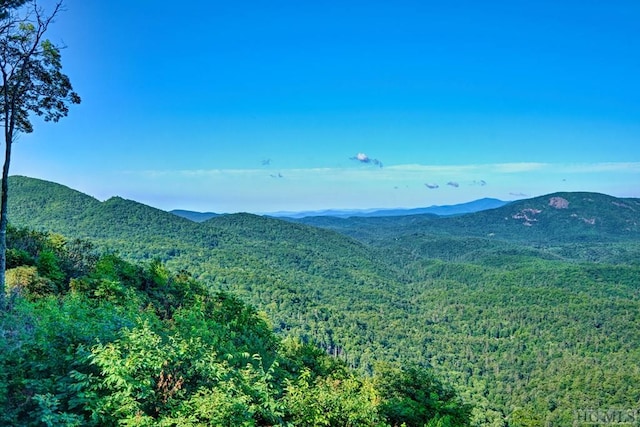 view of mountain feature