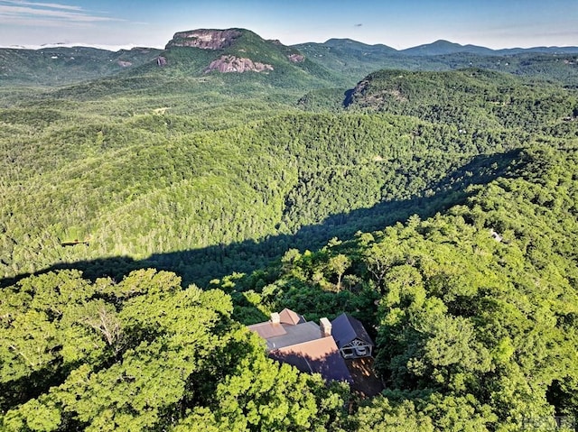 bird's eye view with a mountain view