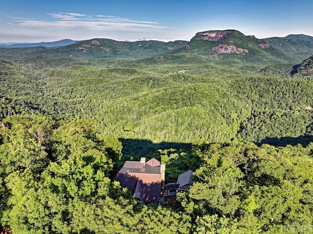 850 Little Terrapin Rd, Cashiers, NC 28717 - photo 15