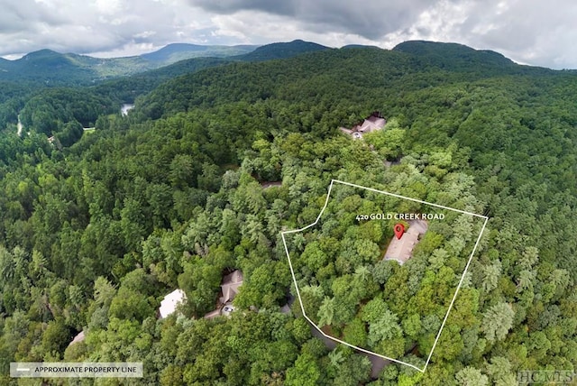 birds eye view of property with a mountain view