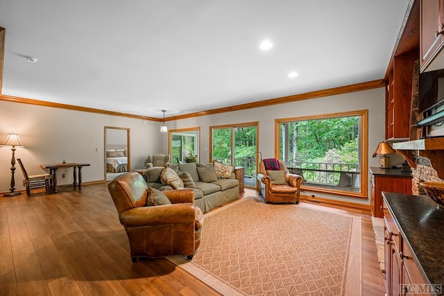 living room featuring crown molding, a healthy amount of sunlight, and light hardwood / wood-style flooring