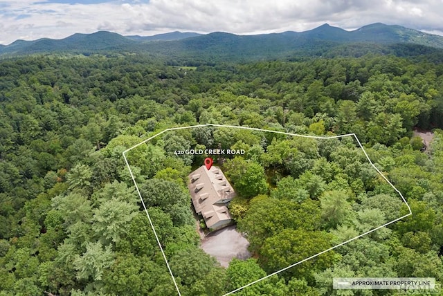 drone / aerial view featuring a mountain view