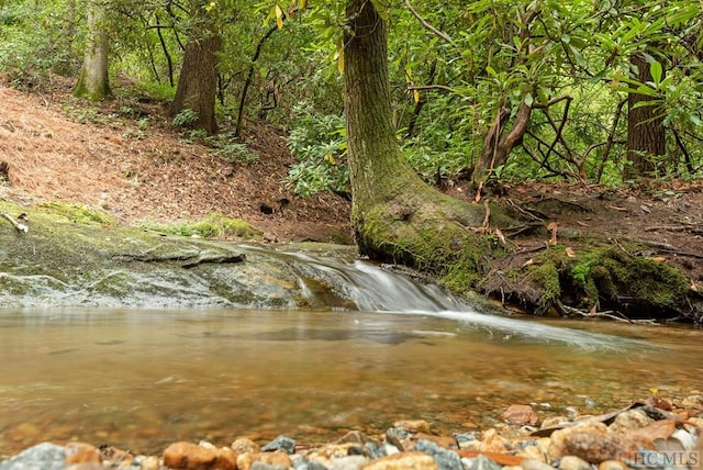 view of water feature